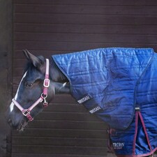 Gallop Equestrian Trojan 50G Stable Neck Cover Blue | Size: Small
Colour: Navy