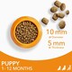 image 5 of IAMS Complete Dry Dog Food for Puppy Small and Medium Breeds with Chicken 12 kg