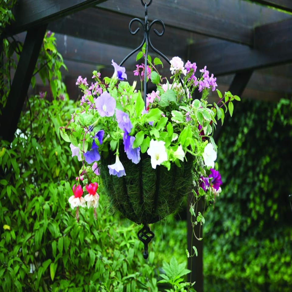 image 1 of Tom Chambers Black Metal Spanish Garden Flower Wall Hanging Basket Large 35cm 14 inch - Without Bracket | Black | Black