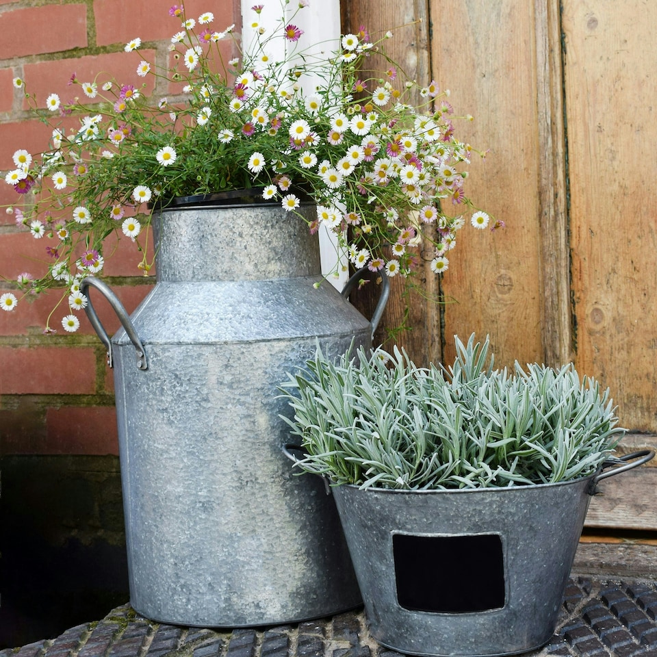 image 1 of Galvanised Milk Churn