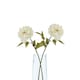 image 1 of Hill Interiors The Natural Garden Collection Peony Artificial Flower - White - 52cm