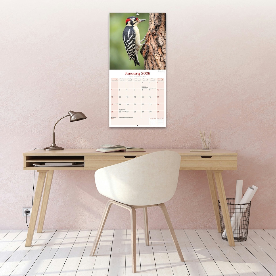 image 1 of Garden Birds 2026 Calendar | Square Wall Calendar | Bird Gift | Plastic Free Packaging | by Avonside Publishing