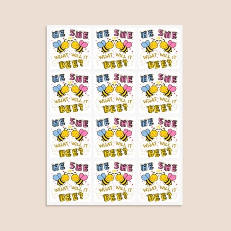 image 1 of What Will it Bee Gender Reveal Square Stickers 65mm - Sheet of 12