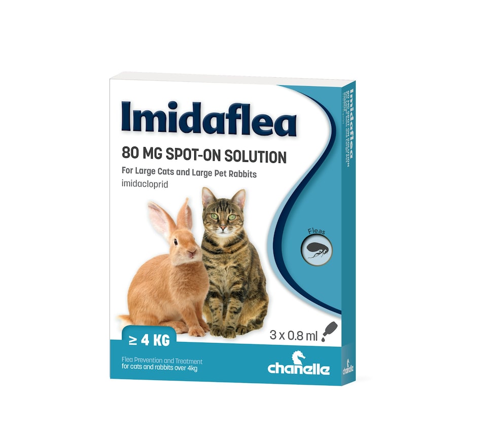 Imidaflea L Cat/rabbit 80mg 0.8ml