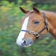 image 3 of Shires Blenheim Fully Adjustable Leather Headcollar Black | Size: Full
Colour: Black
