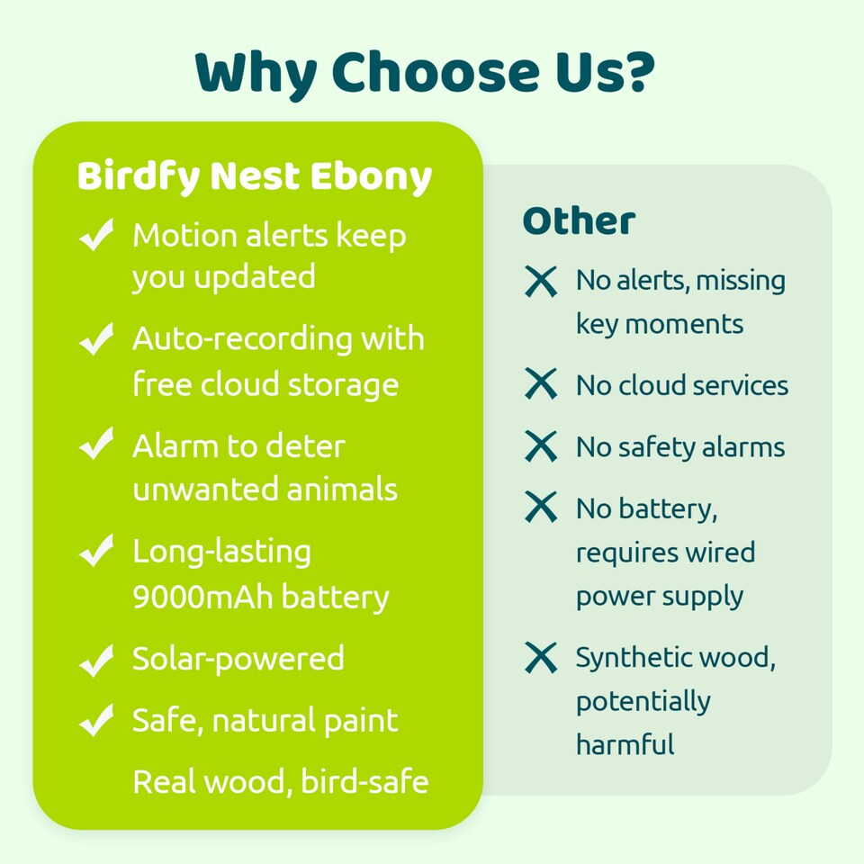 image 1 of BIRDFY EBONY LITE SMART BIRD HOUSE