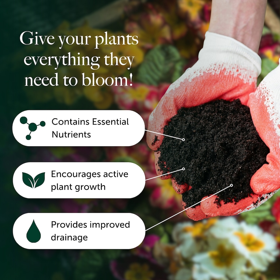 image 1 of Bedding & Annual Plant Compost with 9 Month Feed - 65L - Water Less Formula - Ideal for Seasonal Flowers & Displays