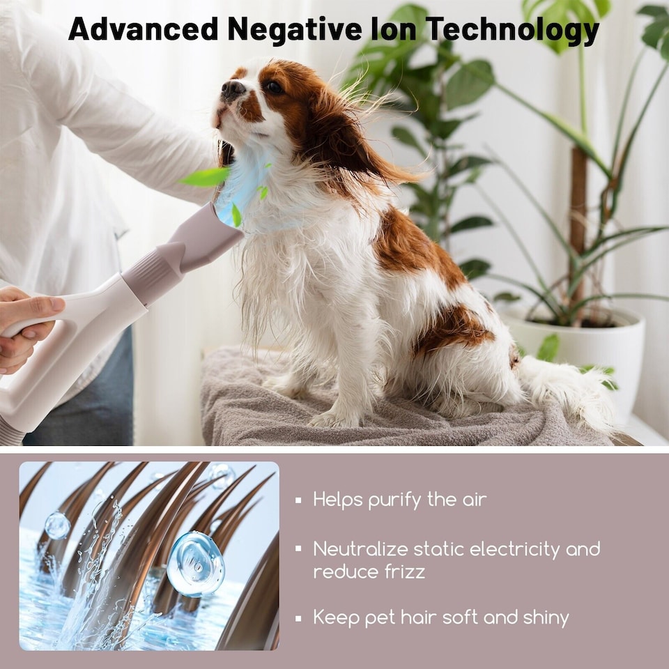 image 1 of Dog Dryer Cat Hair Blower High Velocity Pet Grooming Dryer Adjustable Temperture