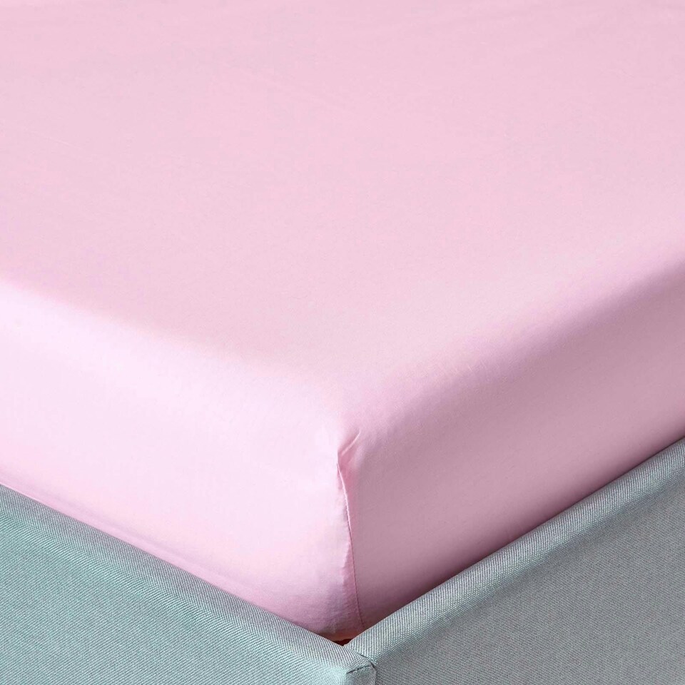 image 1 of Homescapes Pink Egyptian Cotton Fitted Sheet 200 TC, Single | Pink | Single