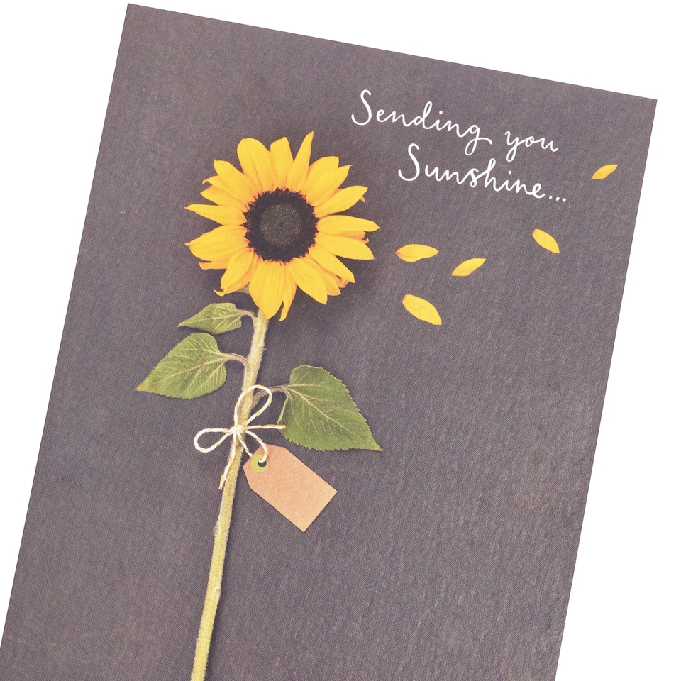 image 1 of Open Card - Sending You Sunshine - Sunflower