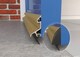 image 3 of Exitex Exeplex Rain Deflector 914mm, Aluminium Door Draught Excluder, Door Weather Bar | Gold