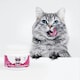 image 6 of All-Itch Chews for Cats