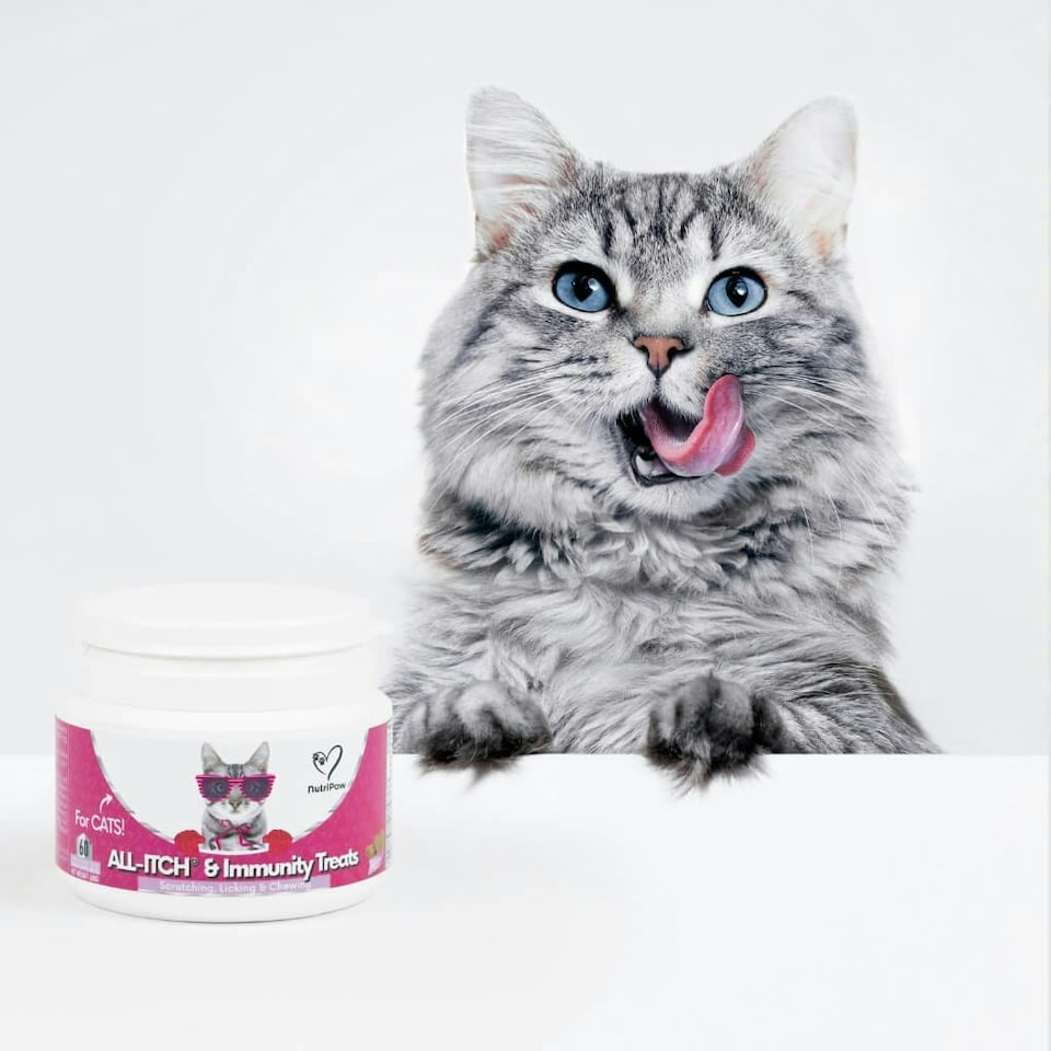 image 1 of All-Itch Chews for Cats