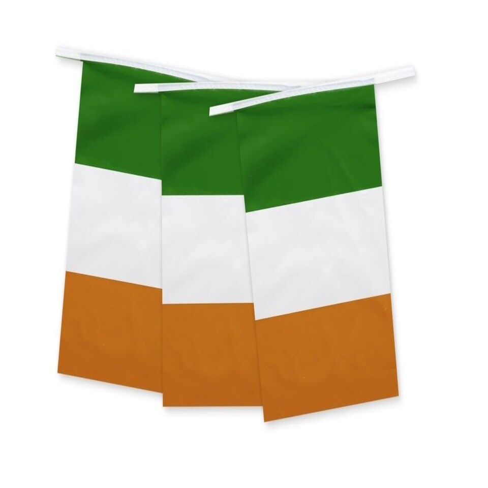 image 1 of Ireland Flag Rectangle Party Bunting 10m with 20 Flags