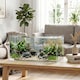 image 2 of PawHut 51L Fish Tank with Protective Base Mat 60 x 30 x 30 cm