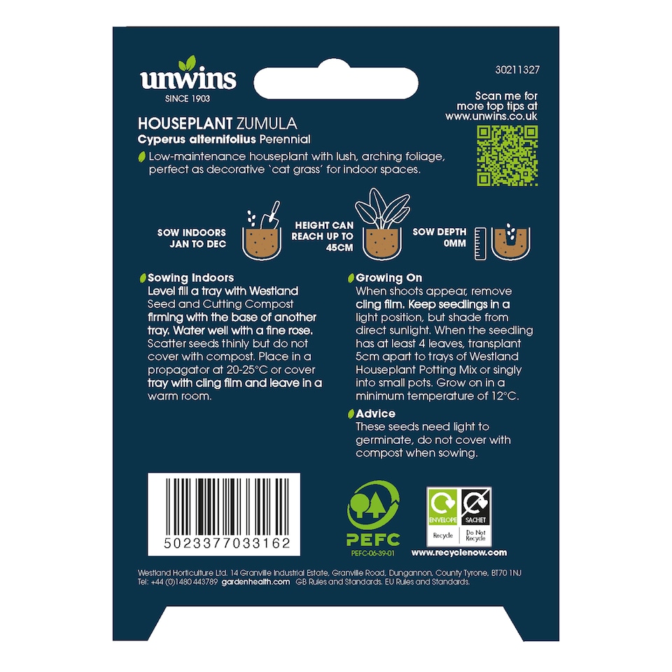 image 1 of Houseplant Zumula | Multi