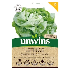 Lettuce (Butterhead) Sylvesta (Organic) | Multi | Green, White, Yellow