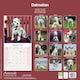 image 2 of Dalmatian 2026 Calendar | Square Wall Calendar | Dog Breed Gift | Plastic Free Packaging | by Avonside Publishing