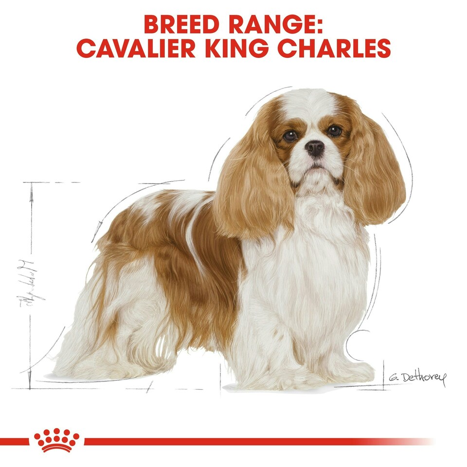 image 1 of Royal Canin Dog Cavalier King Charles Adult 7.5KG