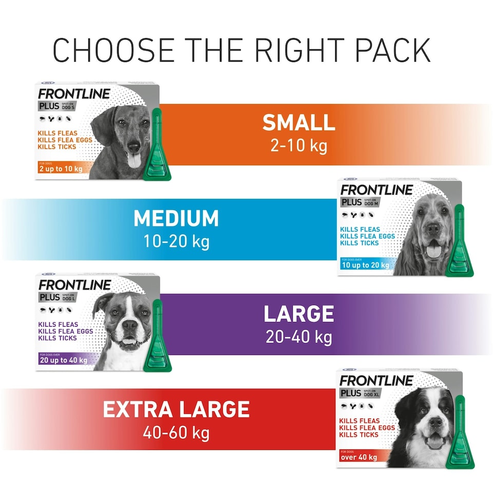 image 1 of Frontline Plus Spot On - 6 Pipettes / Medium Dog 10-20kg