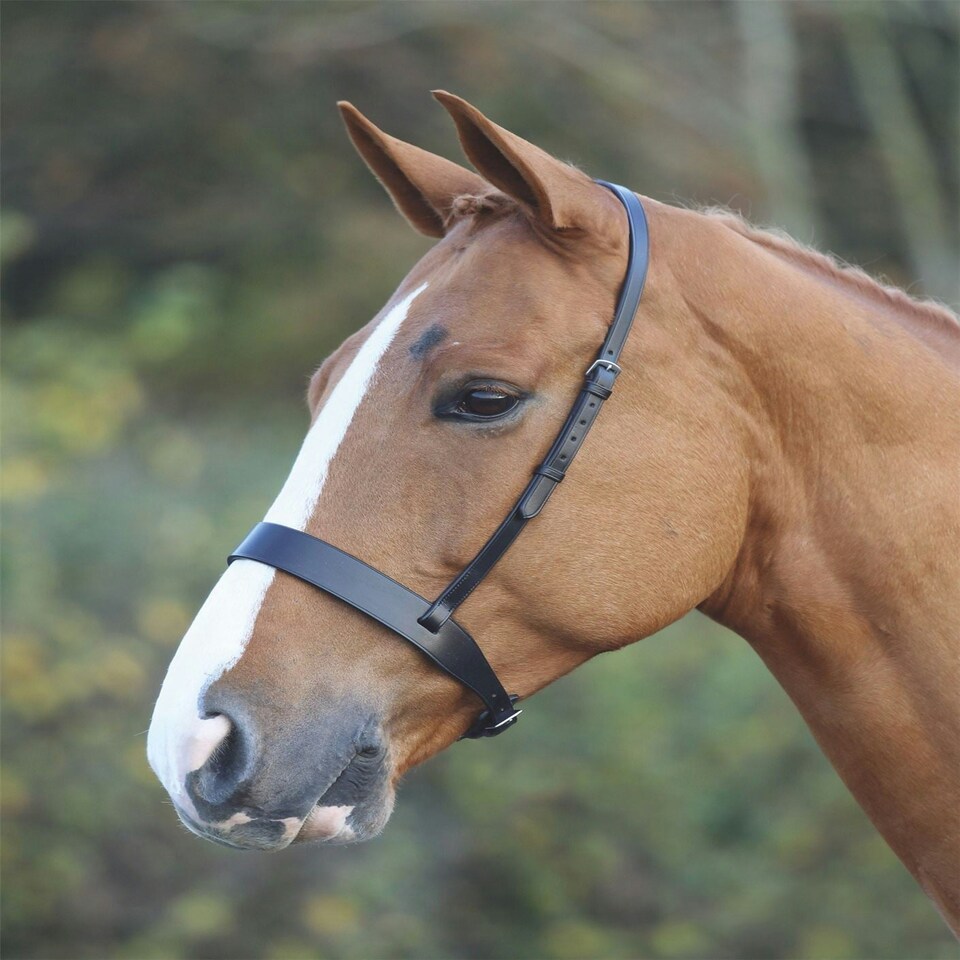 image 1 of Shires Blenheim Hunter Cavesson Noseband Black | Size: X-Full
Colour: Black