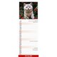 image 3 of Kittens Slim 2026 Calendar | Slimline Wall Calendar | Cat Gift | Plastic Free Packaging | by Avonside Publishing [Calendar] Avonside Publishing Ltd