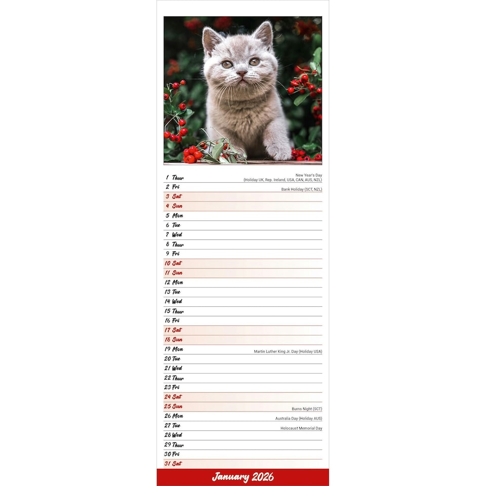 image 1 of Kittens Slim 2026 Calendar | Slimline Wall Calendar | Cat Gift | Plastic Free Packaging | by Avonside Publishing [Calendar] Avonside Publishing Ltd