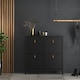 image 8 of Barcelona Shoe Cabinet 4 Flip Down Doors in Matt Black