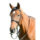 image 2 of Kincade Classic Leather Horse Cavesson Bridle With Reins - Black - Cob