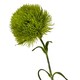 image 2 of Hill Interiors Dianthus Artificial Plant - Light Green - 53cm