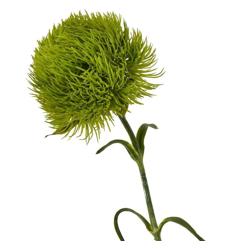 image 1 of Hill Interiors Dianthus Artificial Plant - Light Green - 53cm
