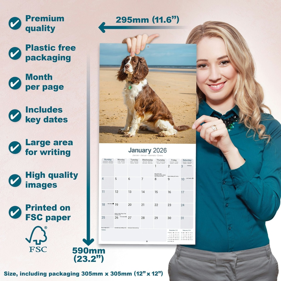 image 1 of English Springer Spaniel 2026 Calendar | Square Wall Calendar | Dog Breed Gift | Plastic Free Packaging | by Avonside Publishing