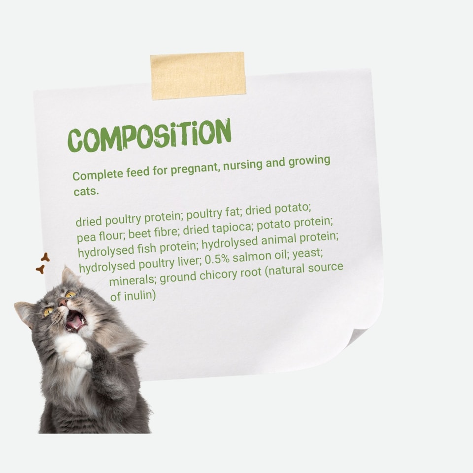 image 1 of Josera Kitten Grain-free complete food | Growing kittens | Pregnant & nursing mothers | Optimal development | Omega 3 | Anti-Hairball | Skin & Coat | 10kg