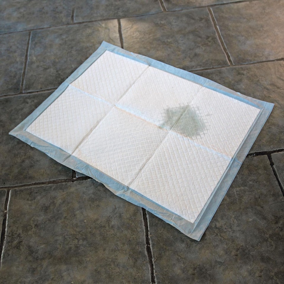 image 1 of Actiaspet Puppy Training Pads 60cm x 45cm – Heavy Duty Absorbent Dog & Cat Toilet Pads – Leak Resistant Pet Training Mats