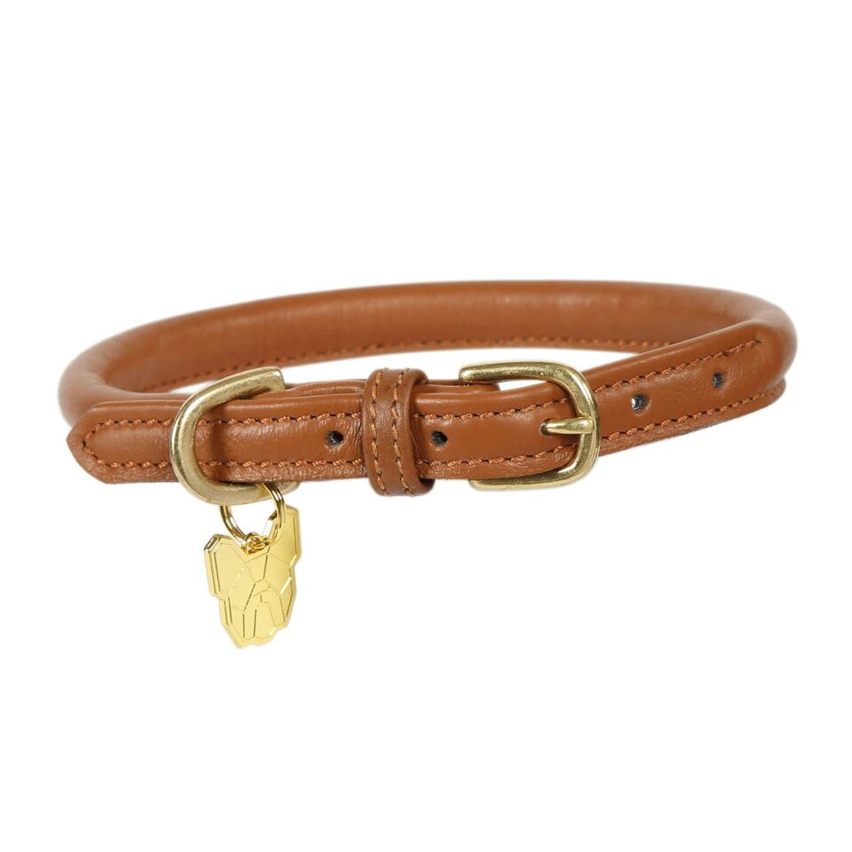 image 1 of Digby & Fox Rolled Leather Dog Collar | Blue | Size: Small
Colour: Royal Blue | S