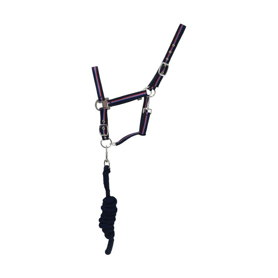 Hy Signature Horse Headcollar and Leadrope - Multicoloured - Pony