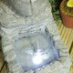 image 5 of Primrose Easter Island Head Solar Water Feature & Planter with LED Lights 50cm