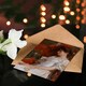 image 4 of Childe Hassam Art Card Woman Portrait on Victorian Chair