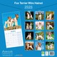 image 3 of Fox Terrier (Wire Haired) 2026 Calendar | Square Wall Calendar | Dog Breed Gift | Plastic Free Packaging | by Avonside Publishing