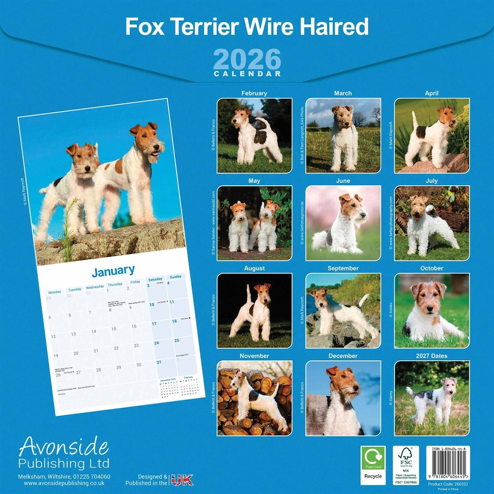 image 1 of Fox Terrier (Wire Haired) 2026 Calendar | Square Wall Calendar | Dog Breed Gift | Plastic Free Packaging | by Avonside Publishing
