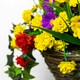 image 3 of Primrose Artificial Wildflower Flowers Hanging Basket Purple Yellow Orange 25cm