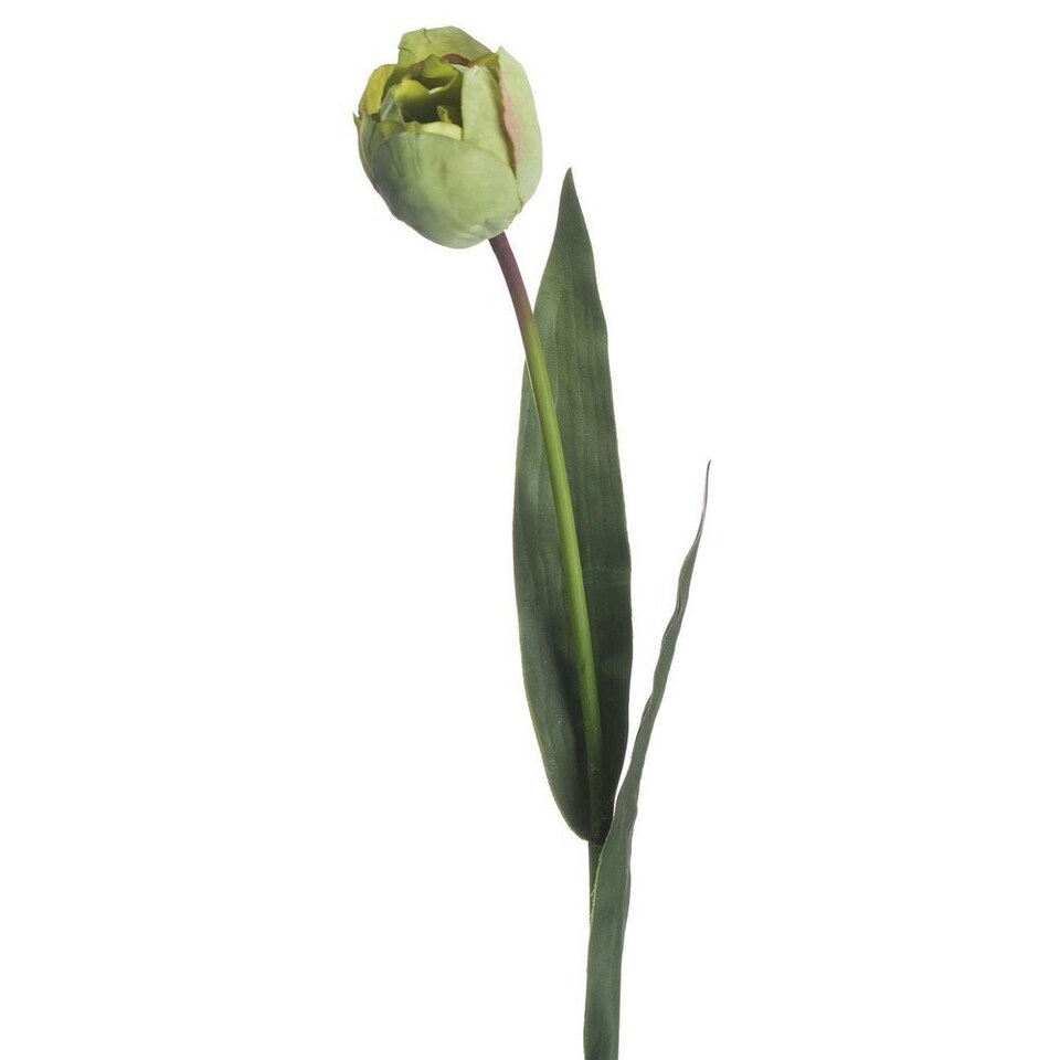 image 1 of Hill Interiors Artificial Green Tulip Plant - Green - One Size