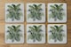 image 2 of Green Tropical Foliage (Coaster)