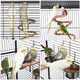 image 6 of Yaheetech 174 cm Tall Play Top Parrot Cage Metal Rolling Bird Cage Black
