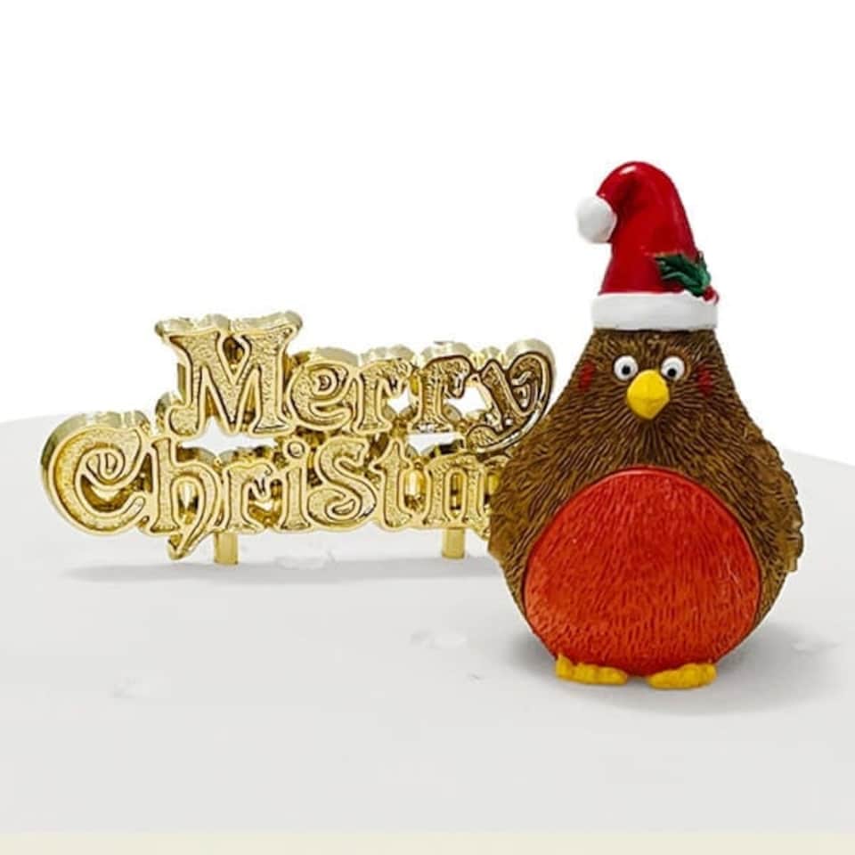 image 1 of Anniversary House Plump Christmas Robin Resin Cake Topper & Merry Christmas