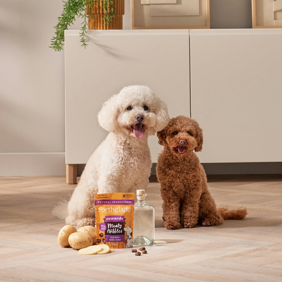 image 1 of Meaty Nibbles Chicken & Liver Dog Treats (4x70g)