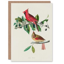 John James Audubon Art Card Cardinal Grosbeak Bird
