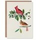 image 1 of John James Audubon Art Card Cardinal Grosbeak Bird