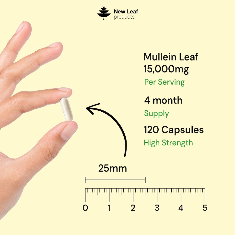 image 1 of Mullein Leaf Capsules - High Strength 15,000mg Per Serving, 120 Capsules