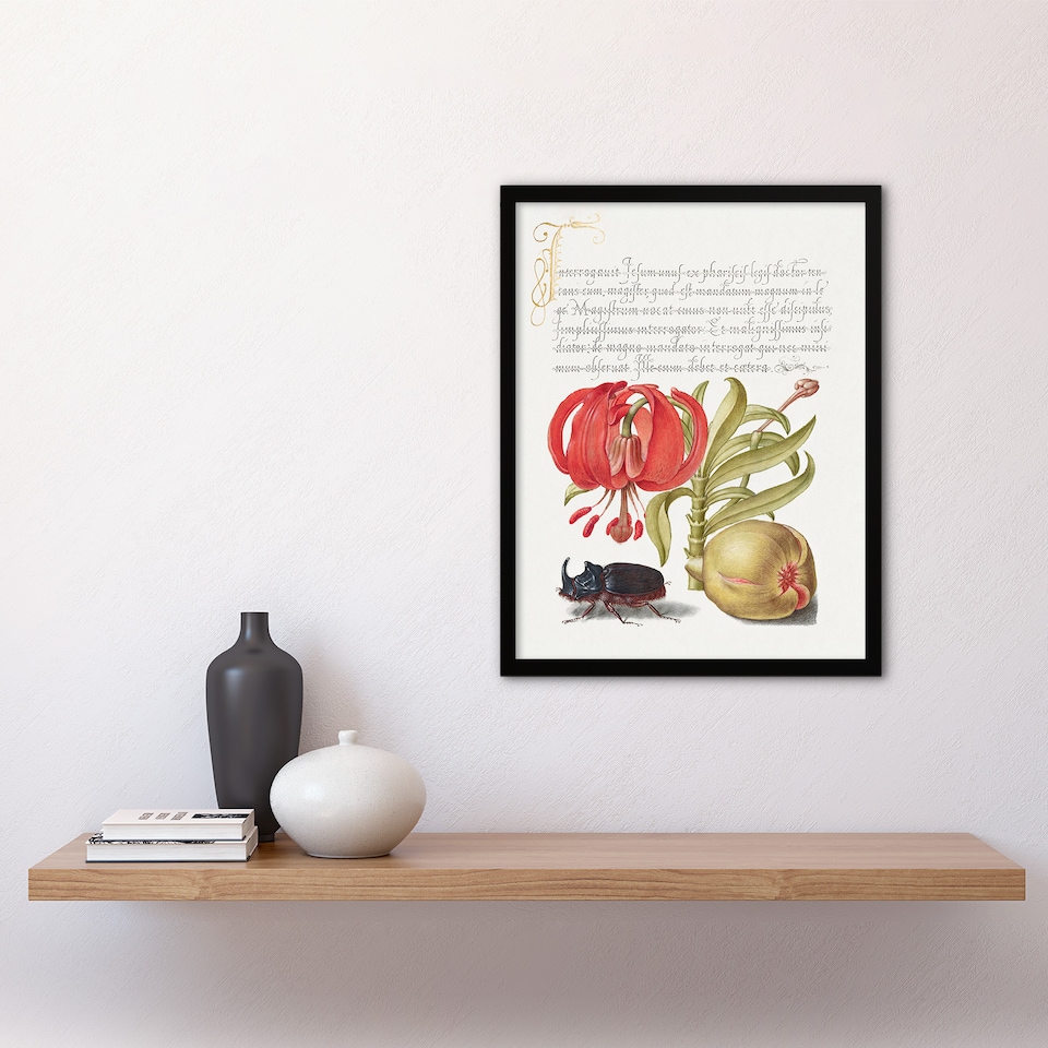 image 1 of Model Book of Calligraphy Framed Wall Art Turks Cap Lily Fig and Beetle